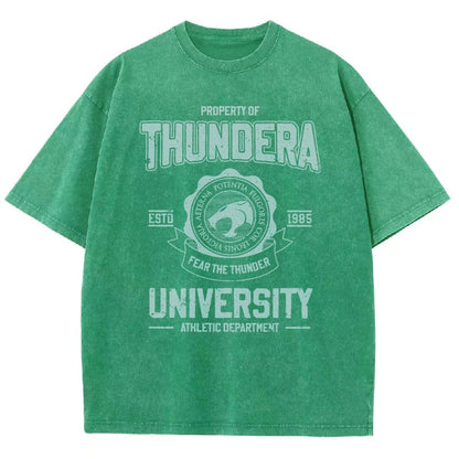 Mystic Valley University Vintage Distressed T-shirt