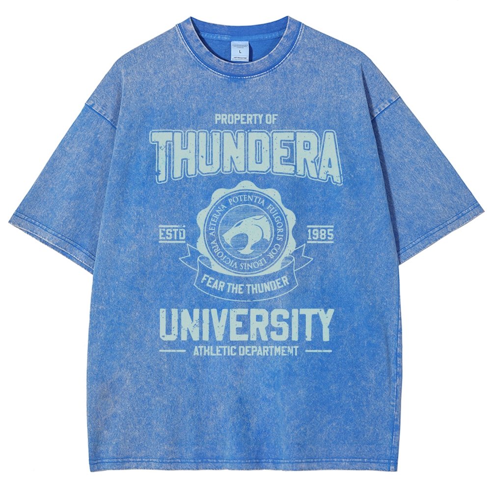 Mystic Valley University Vintage Distressed T-shirt