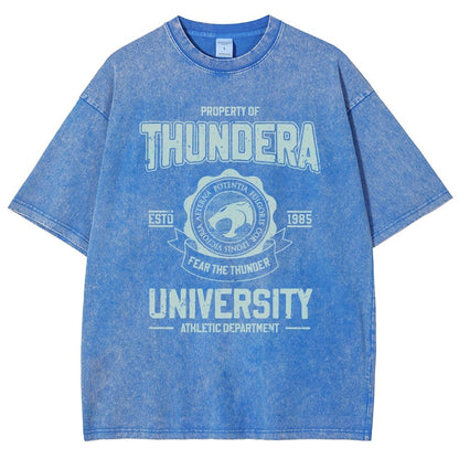 Mystic Valley University Vintage Distressed T-shirt