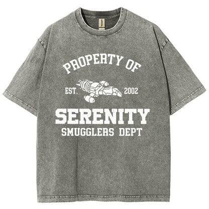 Property of Starlight Vintage Distressed T-shirt