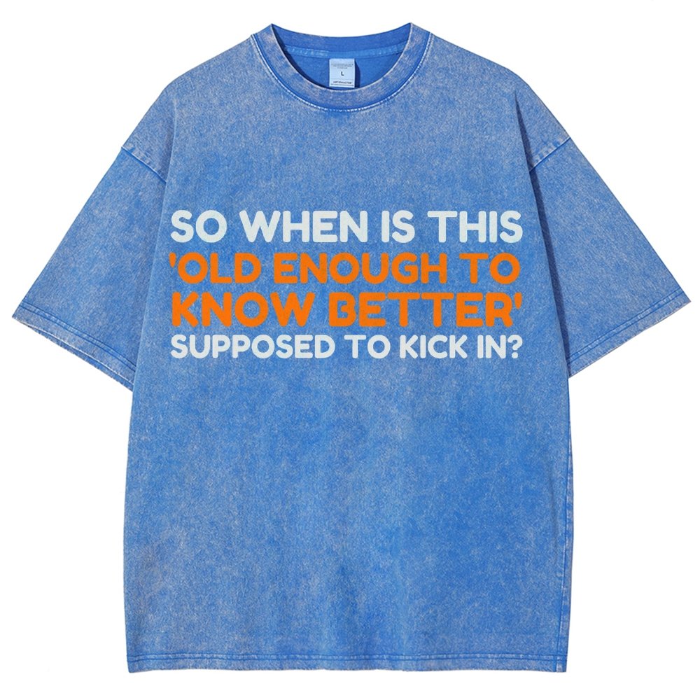 Old Enough To Know Better Vintage Distressed T-shirt