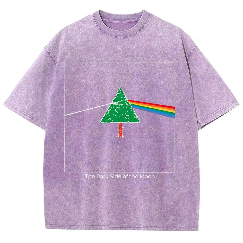 The Park Side of the Moon Vintage Distressed T-shirt