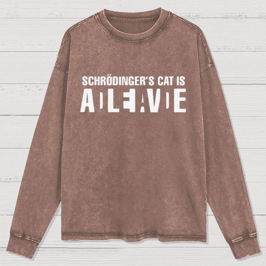 Schrödinger's Cat Adleiavde Washed Long Sleeve Tee