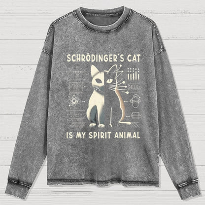 Schrodinger's Сat Science Washed Long Sleeve Tee