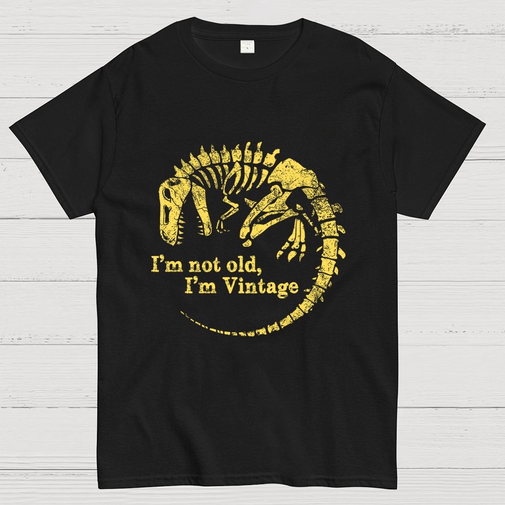 I'm Not Old I'm Vintage Geek T-Shirt