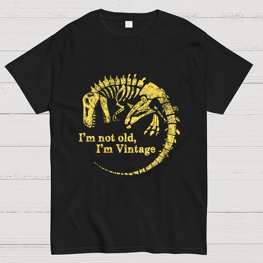 I'm Not Old I'm Vintage Geek T-Shirt