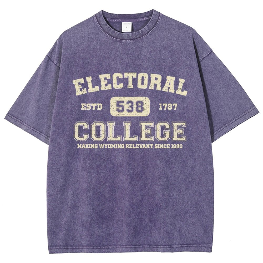 The Electoral College Vintage Distressed T-shirt