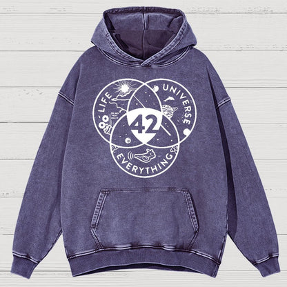42 Answer To Life The Universe Vintage Distressed Hoodie