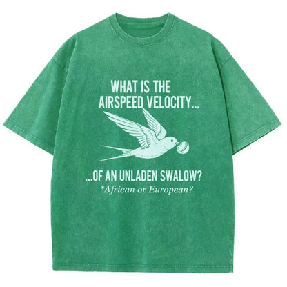 What Is The Airspeed Velocity...Art Print Vintage Distressed T-shirt