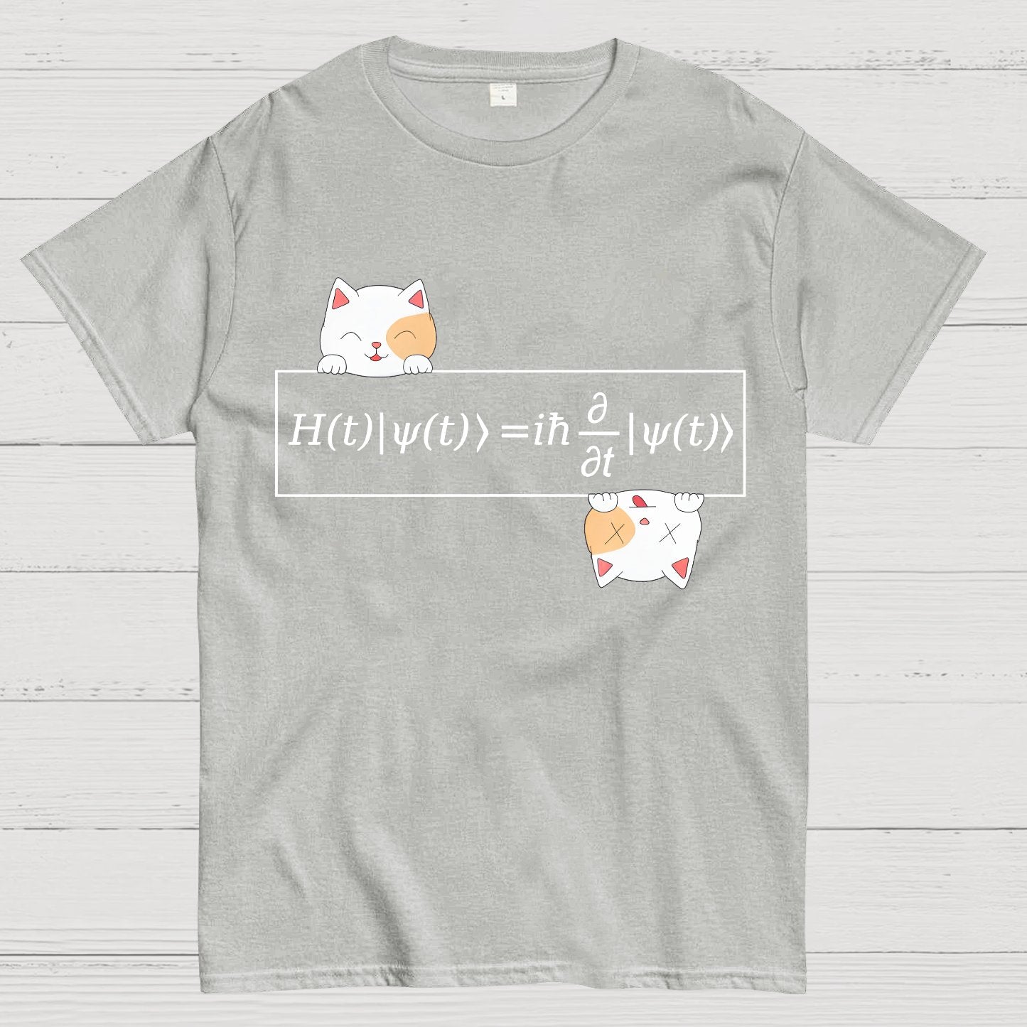 Schrödinger equation Geeky T-Shirt