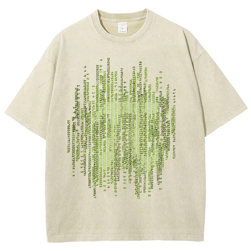 Enter The Pi Vintage Distressed T-shirt