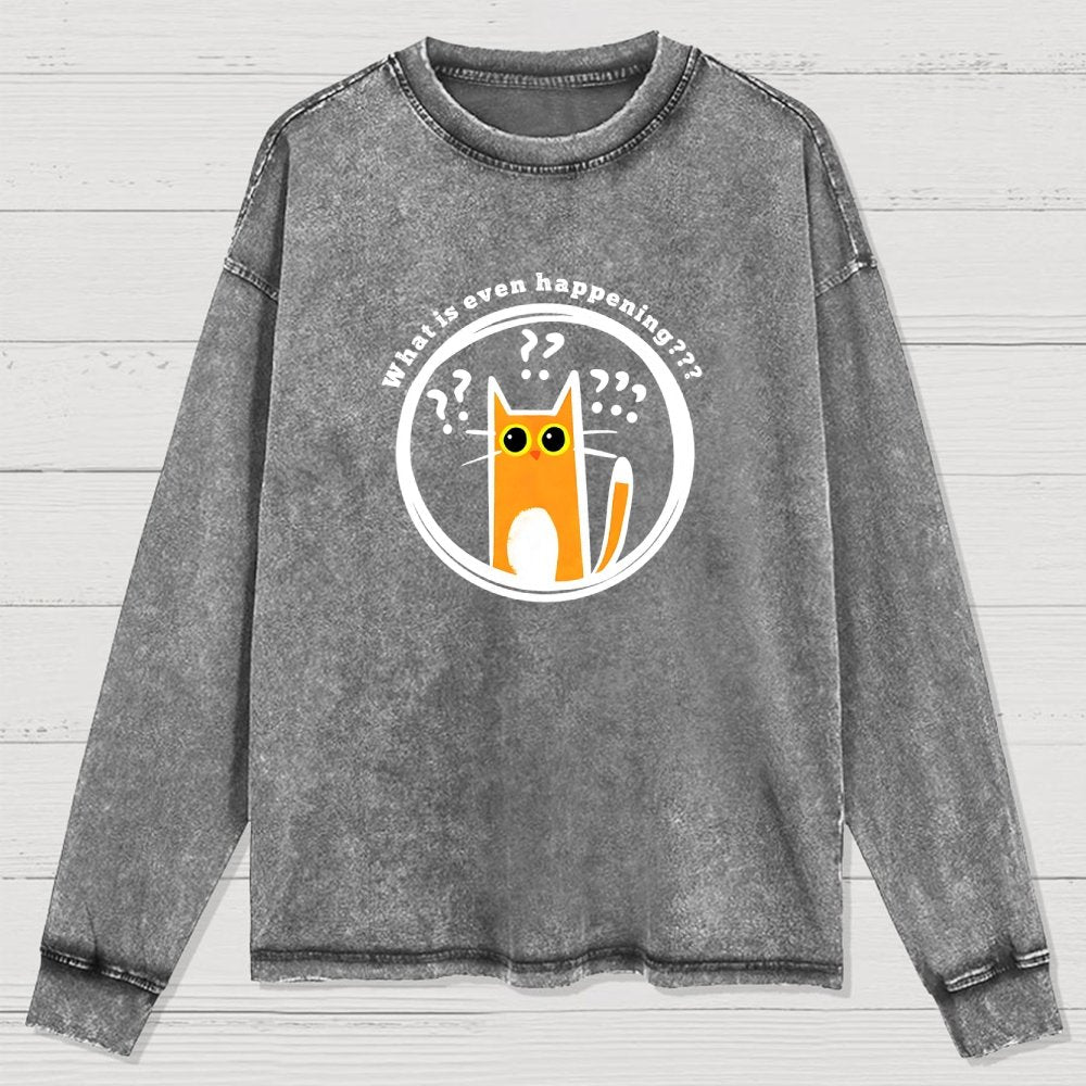 What Is Even Happening Washed Long Sleeve Tee