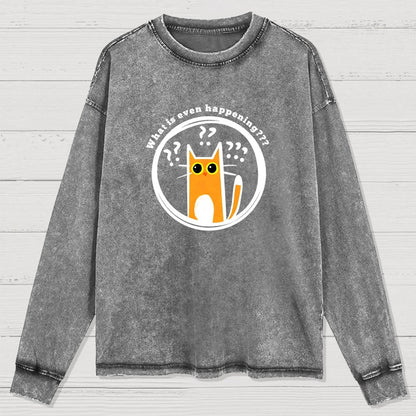 What Is Even Happening Washed Long Sleeve Tee