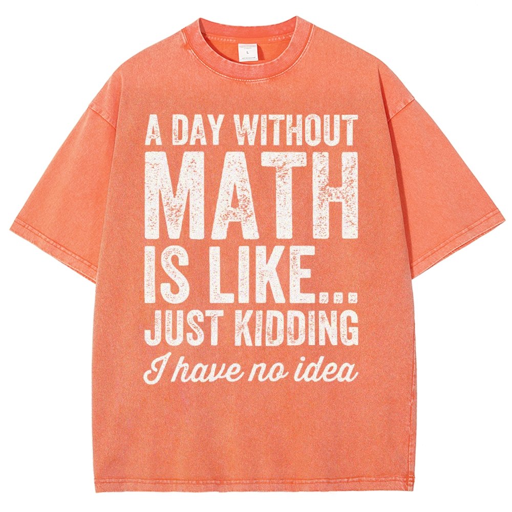 A Day Without Math Is Like Just Kidding I Have No Idea Vintage Distressed T-shirt