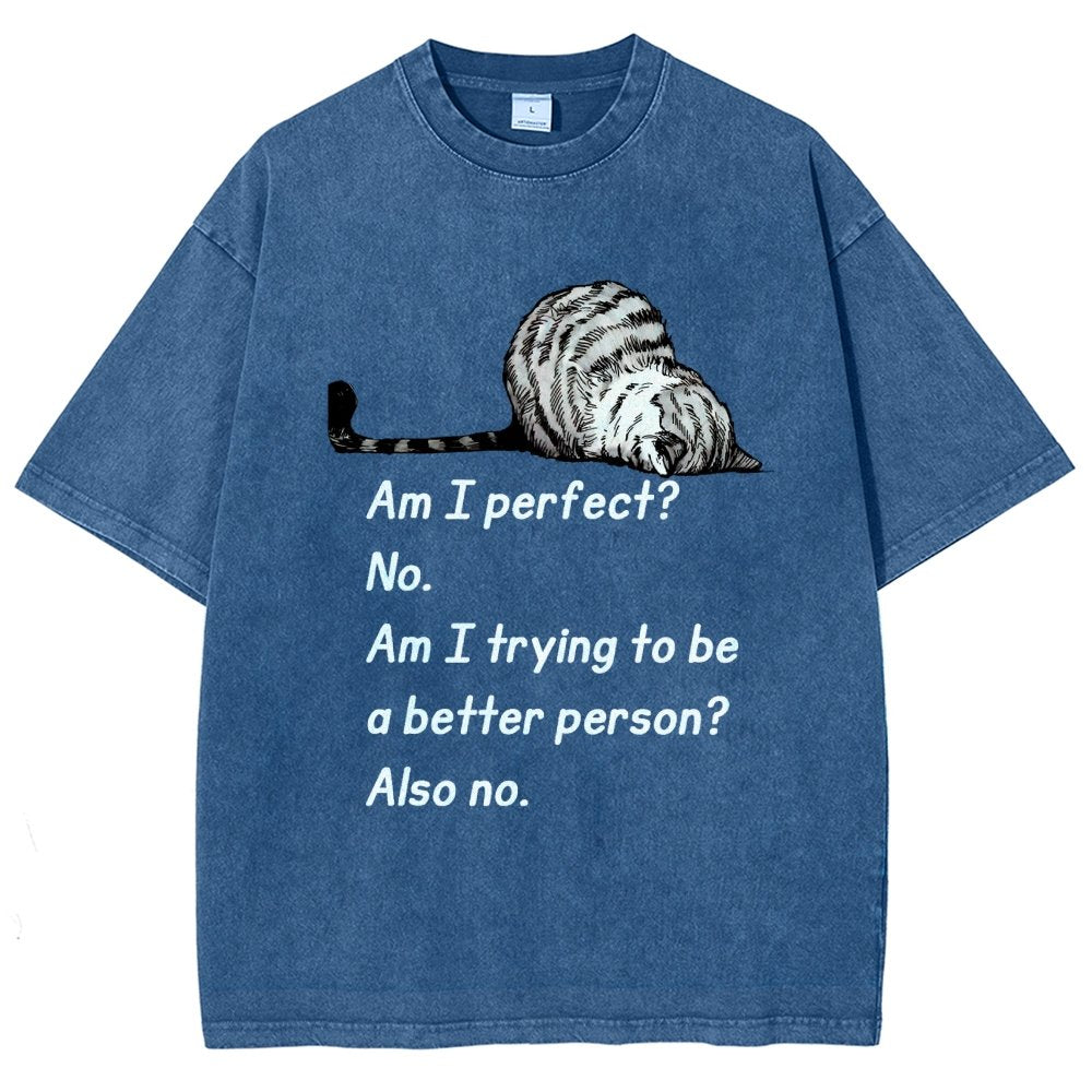 Am I Perfect No Vintage Distressed T-shirt