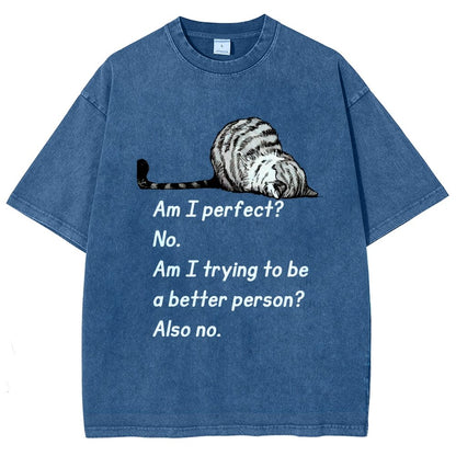 Am I Perfect No Vintage Distressed T-shirt