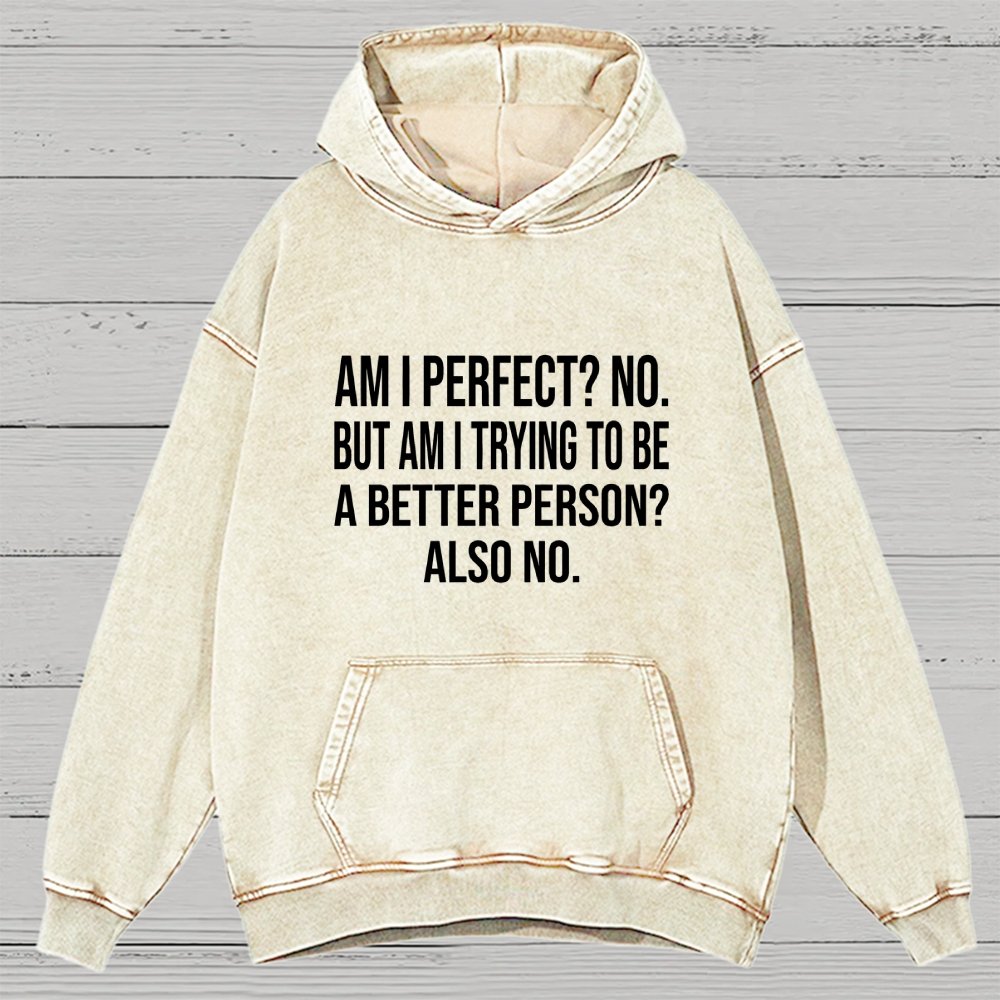 Am I Perfect No But Am I Trying To Be A Better Person Also No Vintage Distressed Hoodie