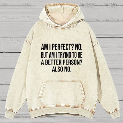 Am I Perfect No But Am I Trying To Be A Better Person Also No Vintage Distressed Hoodie