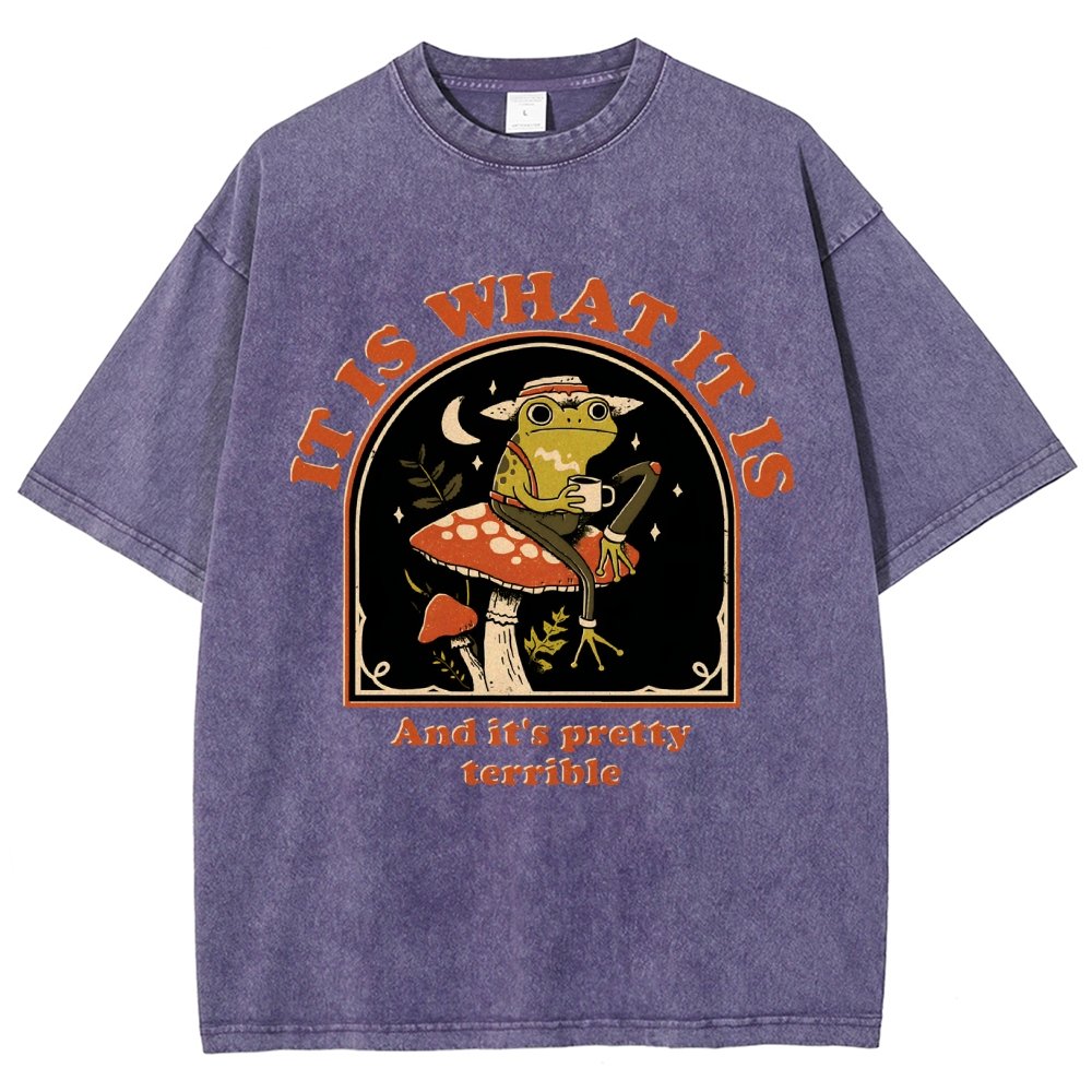 It Is What It Is And It's Pretty Terrible Vintage Distressed T-shirt