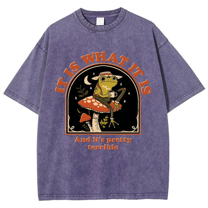 It Is What It Is And It's Pretty Terrible Vintage Distressed T-shirt