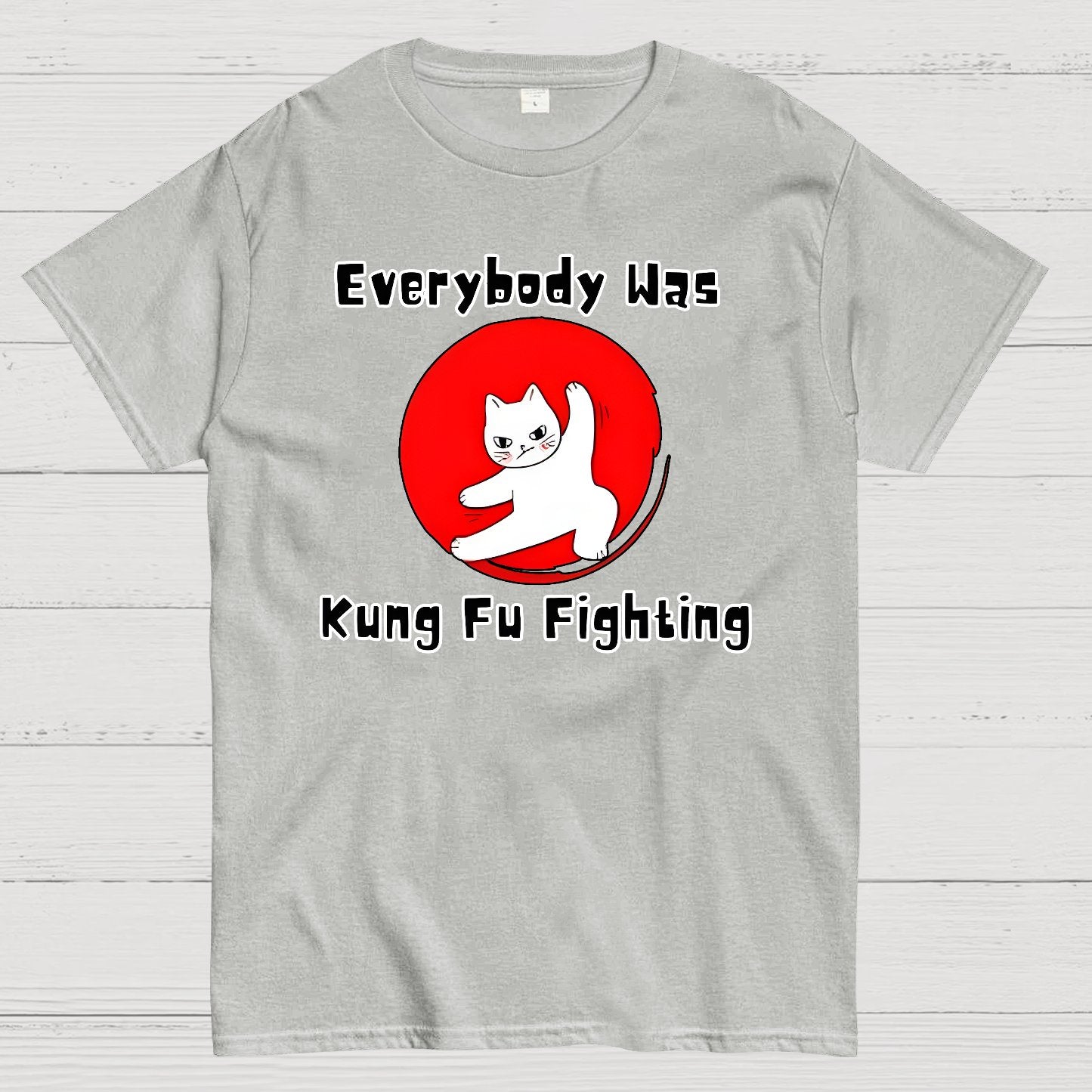 Everybody Was Kung Fu Fighting Geek T-Shirt
