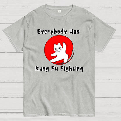 Everybody Was Kung Fu Fighting Geek T-Shirt