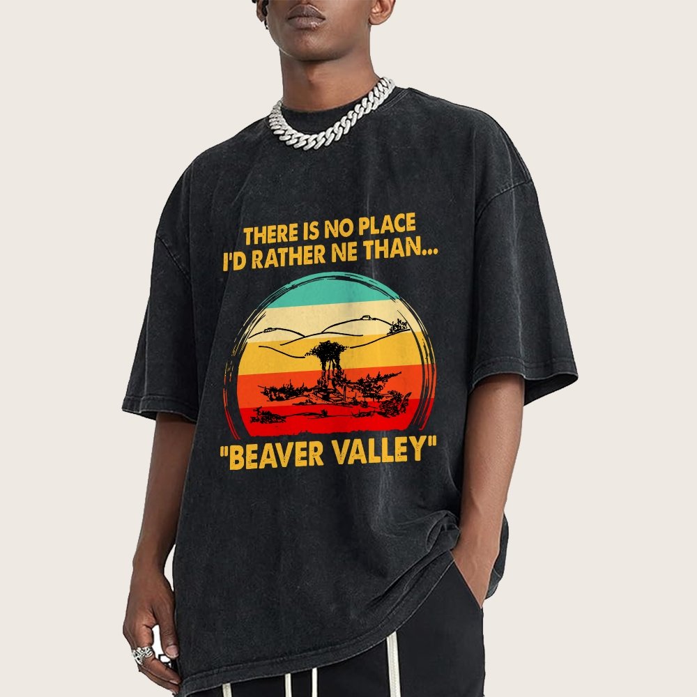 Beaver Valley Vintage Distressed T-shirt