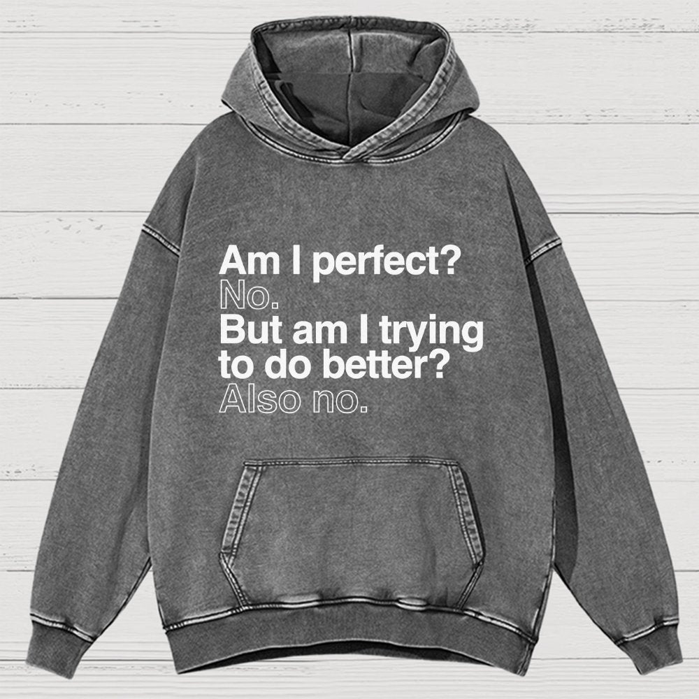 Am I Perfect No Vintage Distressed Hoodie