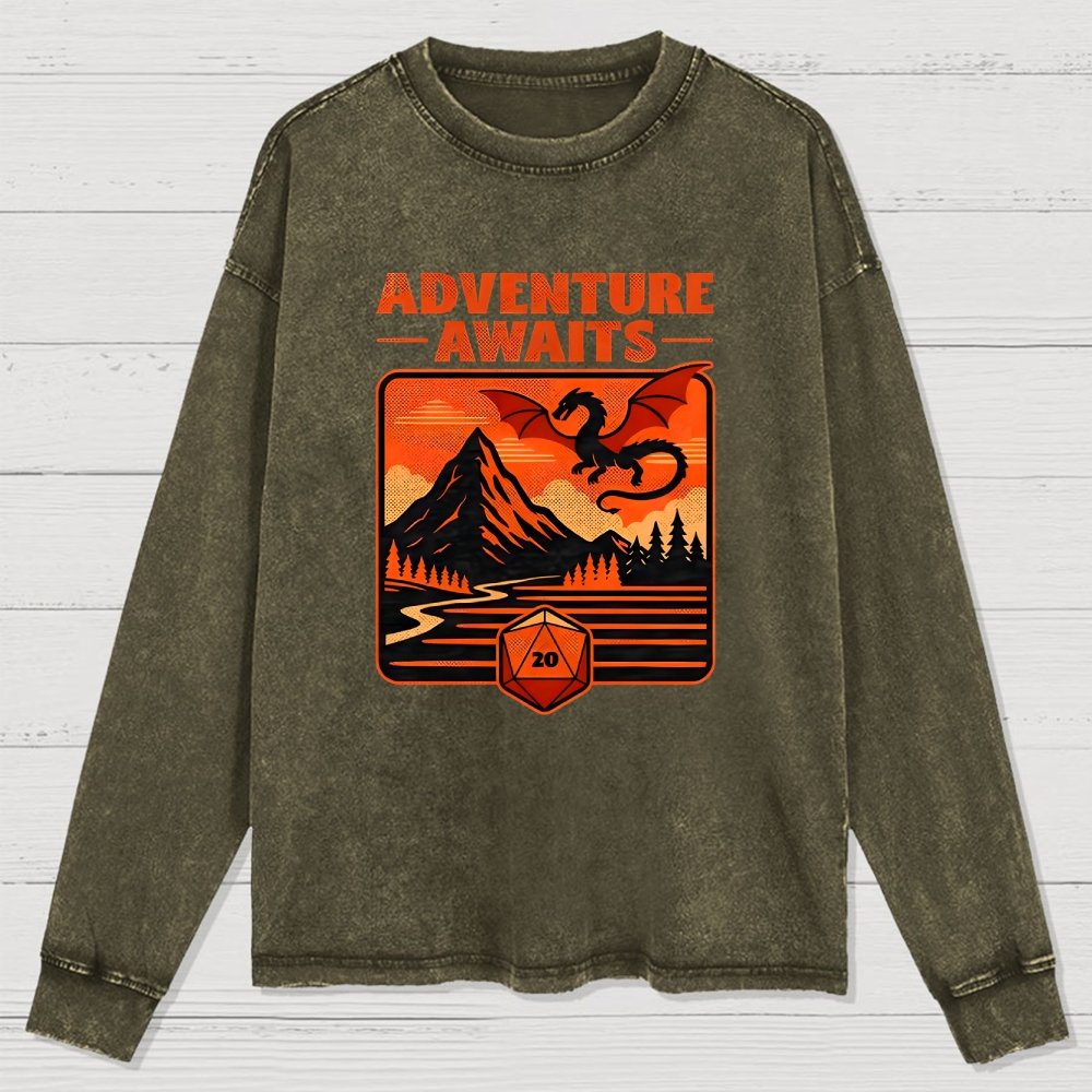 RPG Vintage Adventure Dragon Washed Long Sleeve Tee
