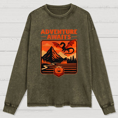 RPG Vintage Adventure Dragon Washed Long Sleeve Tee