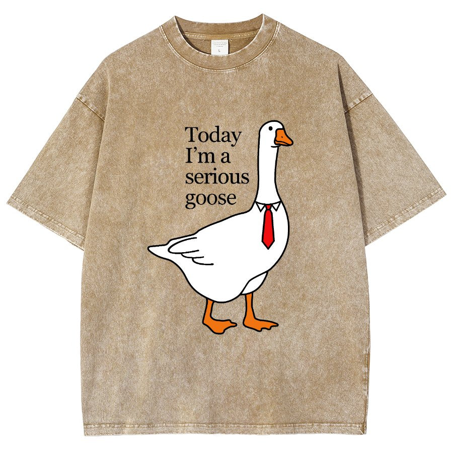 Today I'm A Serious Goose Vintage Distressed T-shirt
