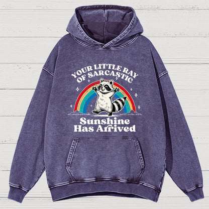 Your Little Ray of Sarcastic Sunshine Has Arrived Vintage Distressed Hoodie