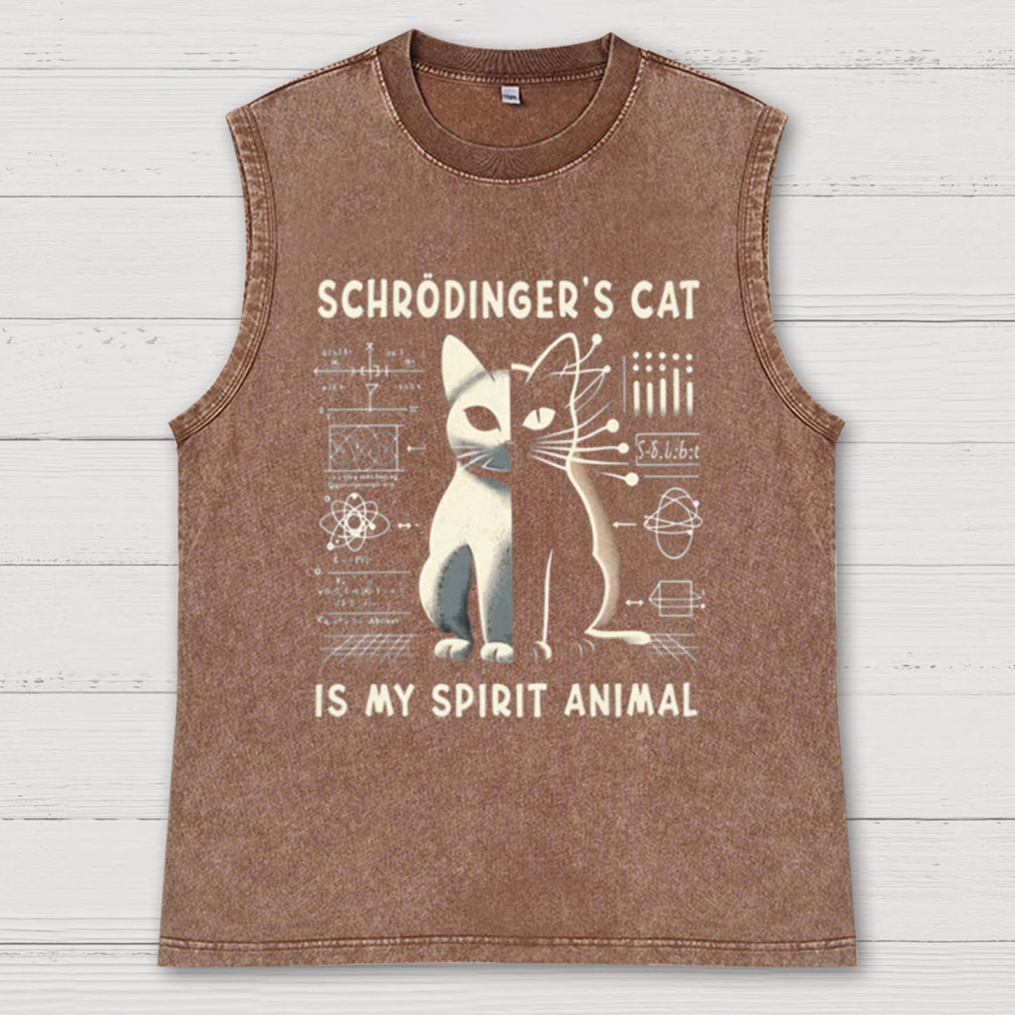 Schrodinger's Сat Science Vintage Distressed Washed Tank
