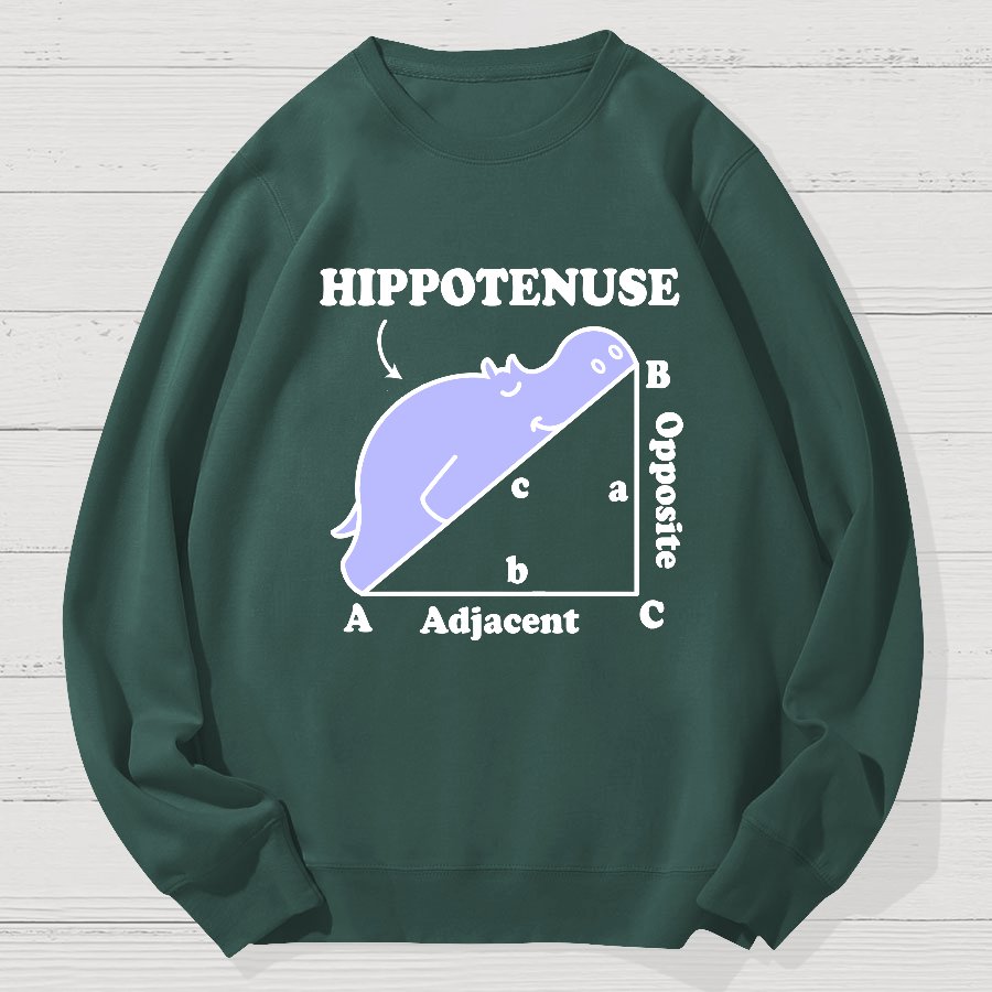 Hypotenuse Math Pun, Hippotenuse Essential Geek Cotton Sweatshirt