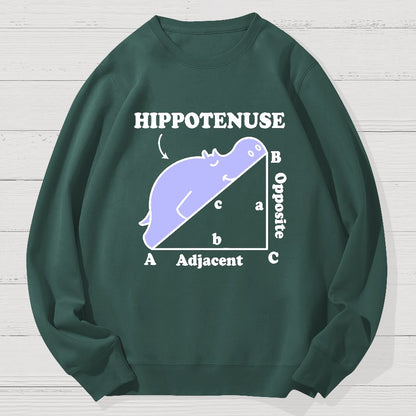 Hypotenuse Math Pun, Hippotenuse Essential Geek Cotton Sweatshirt