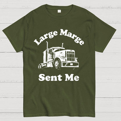 Mysterious Lady Sent Me Geek T-Shirt