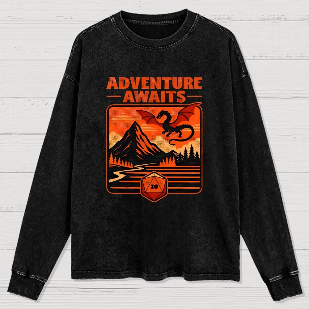 RPG Vintage Adventure Dragon Washed Long Sleeve Tee