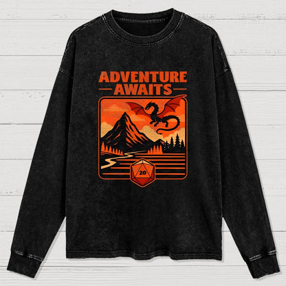 RPG Vintage Adventure Dragon Washed Long Sleeve Tee