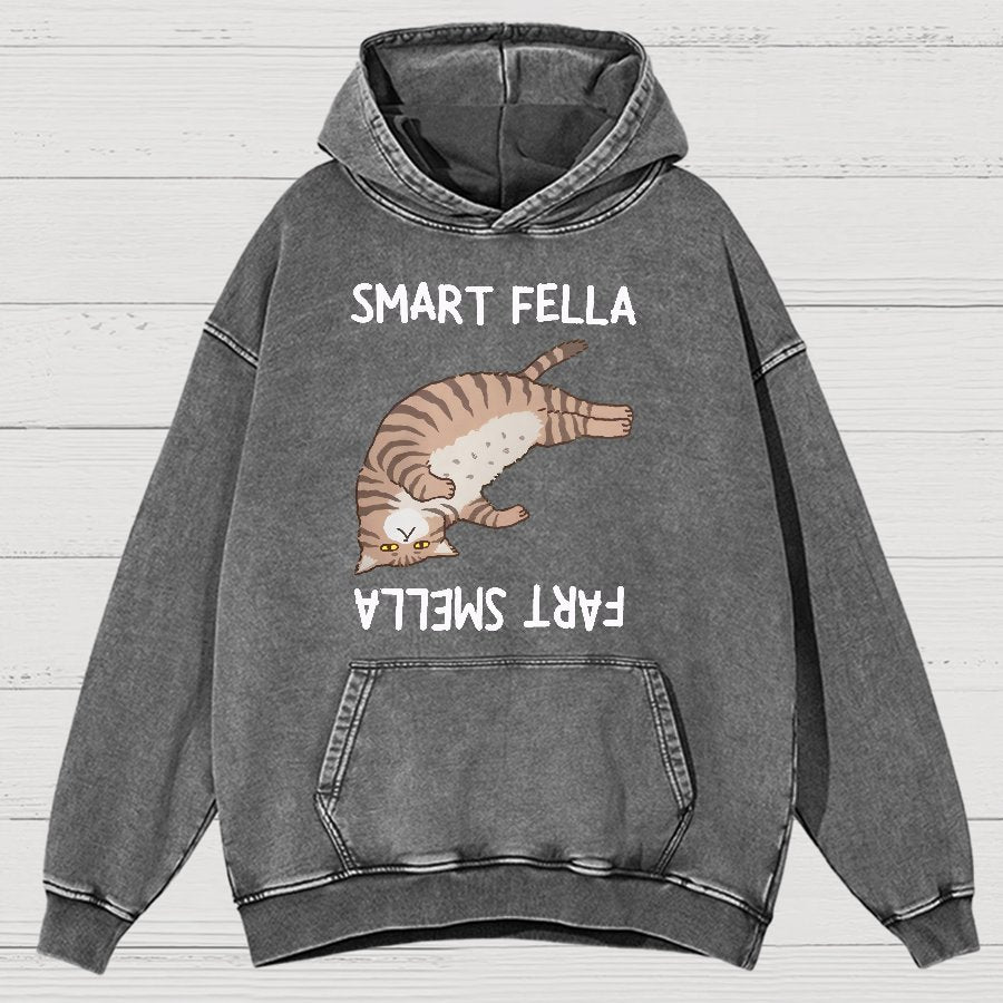 Smart Fella Fart Smella  Funny Cat Pun Vintage Distressed Hoodie