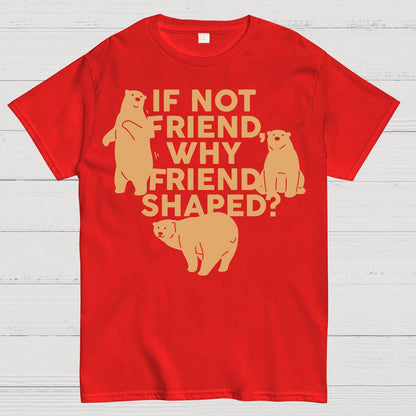 If Not Friend, Why Friend Shaped Geek T-Shirt