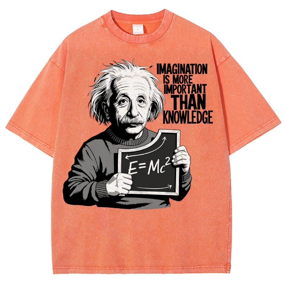 Imagination is more important than knowledge Vintage Distressed T-shirt