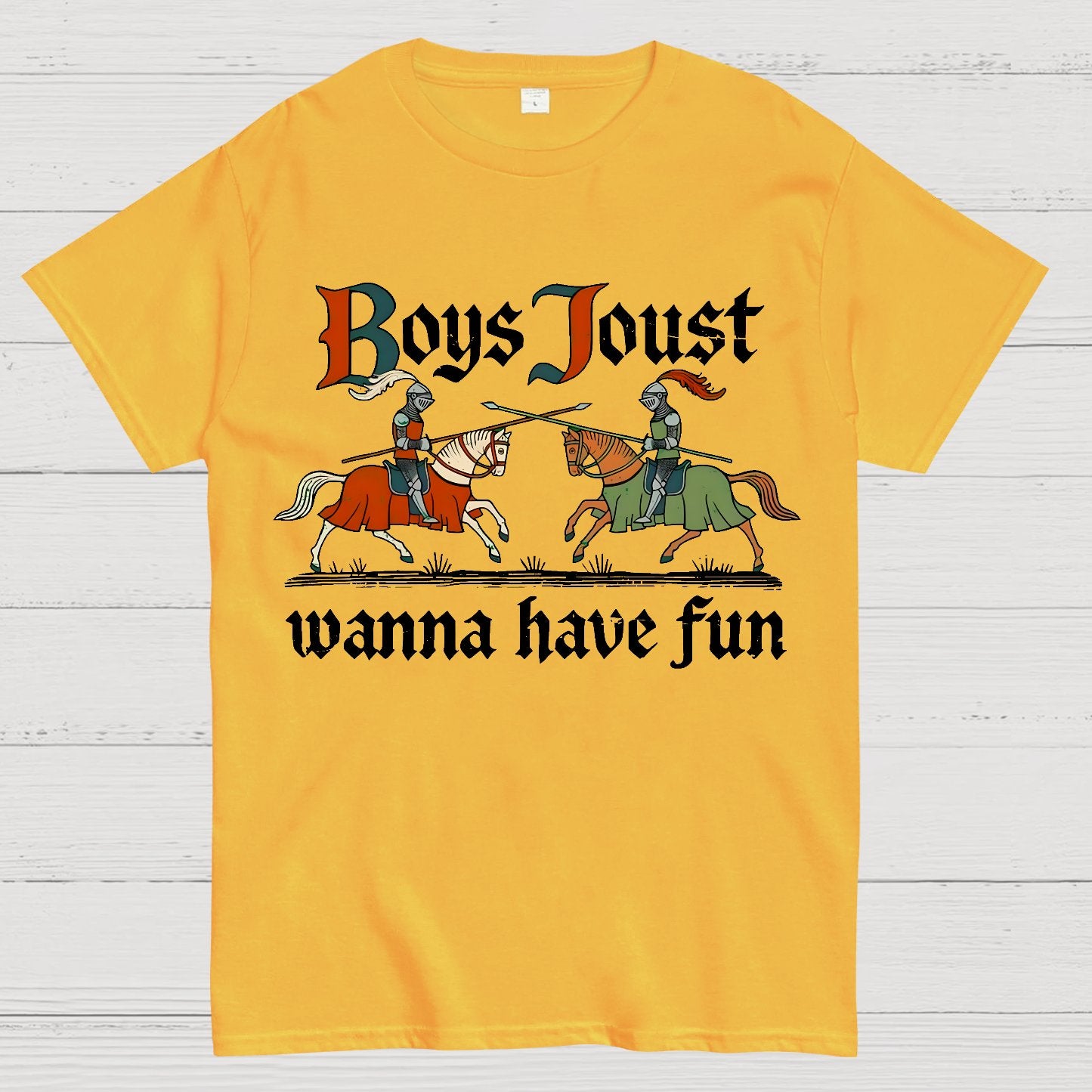 Boys Joust Wanna Have Fun Geek T-Shirt