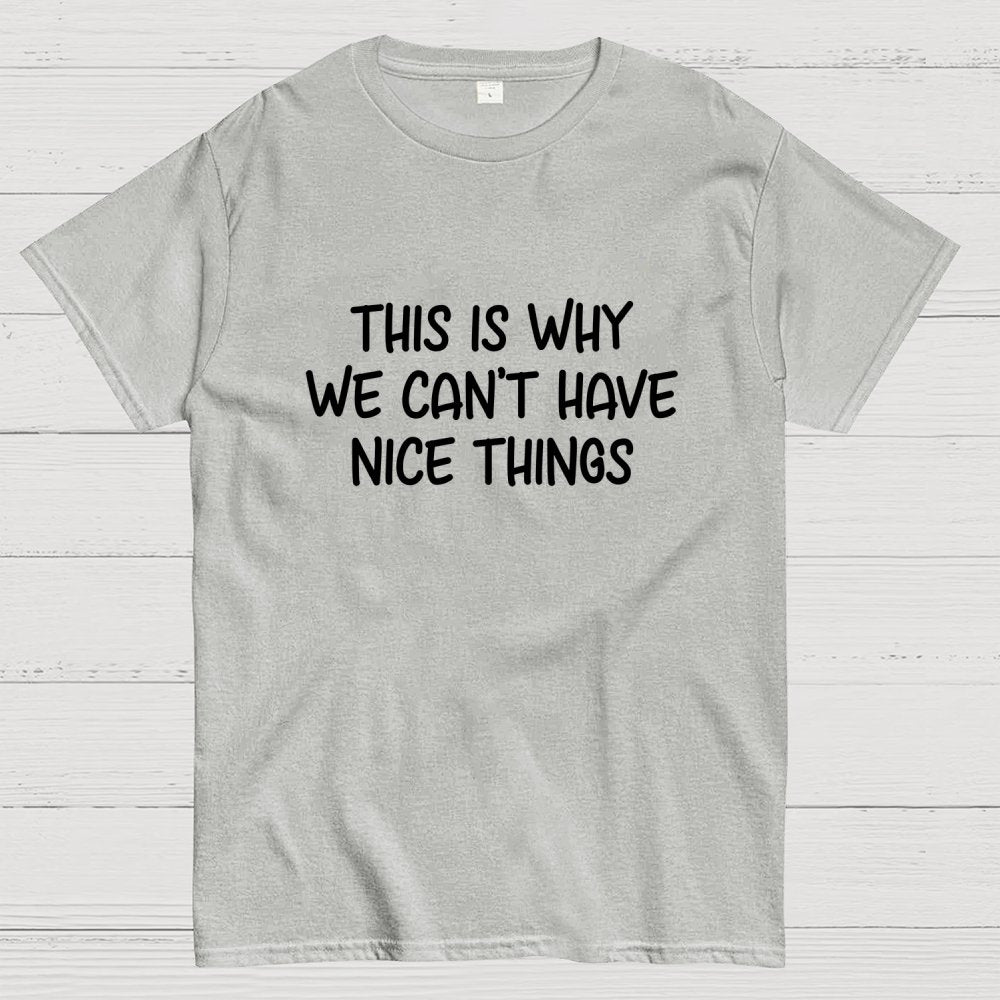 This is Why We Can't Have Nice Things Geek T-Shirt