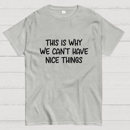 This is Why We Can't Have Nice Things Geek T-Shirt
