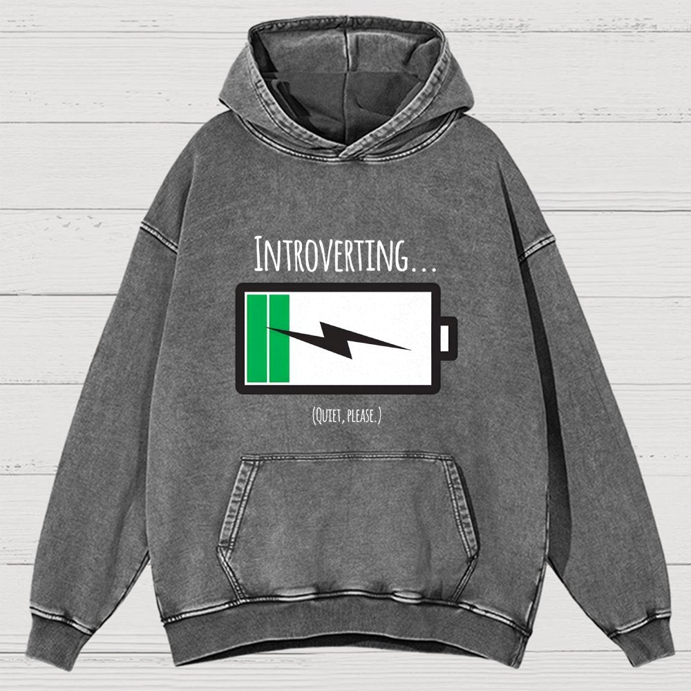 Introverting Vintage Distressed Hoodie