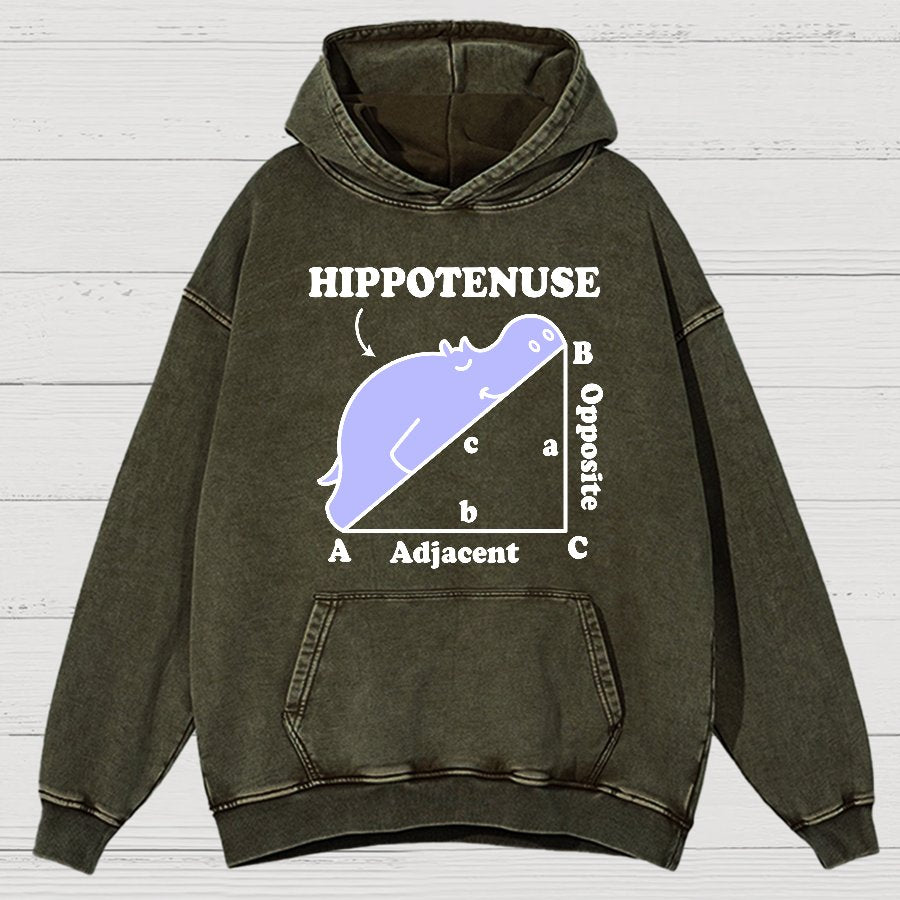 Hypotenuse Math Pun, Hippotenuse Essential Vintage Distressed Hoodie