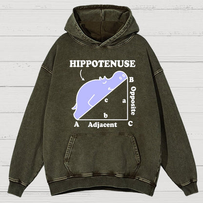 Hypotenuse Math Pun, Hippotenuse Essential Vintage Distressed Hoodie