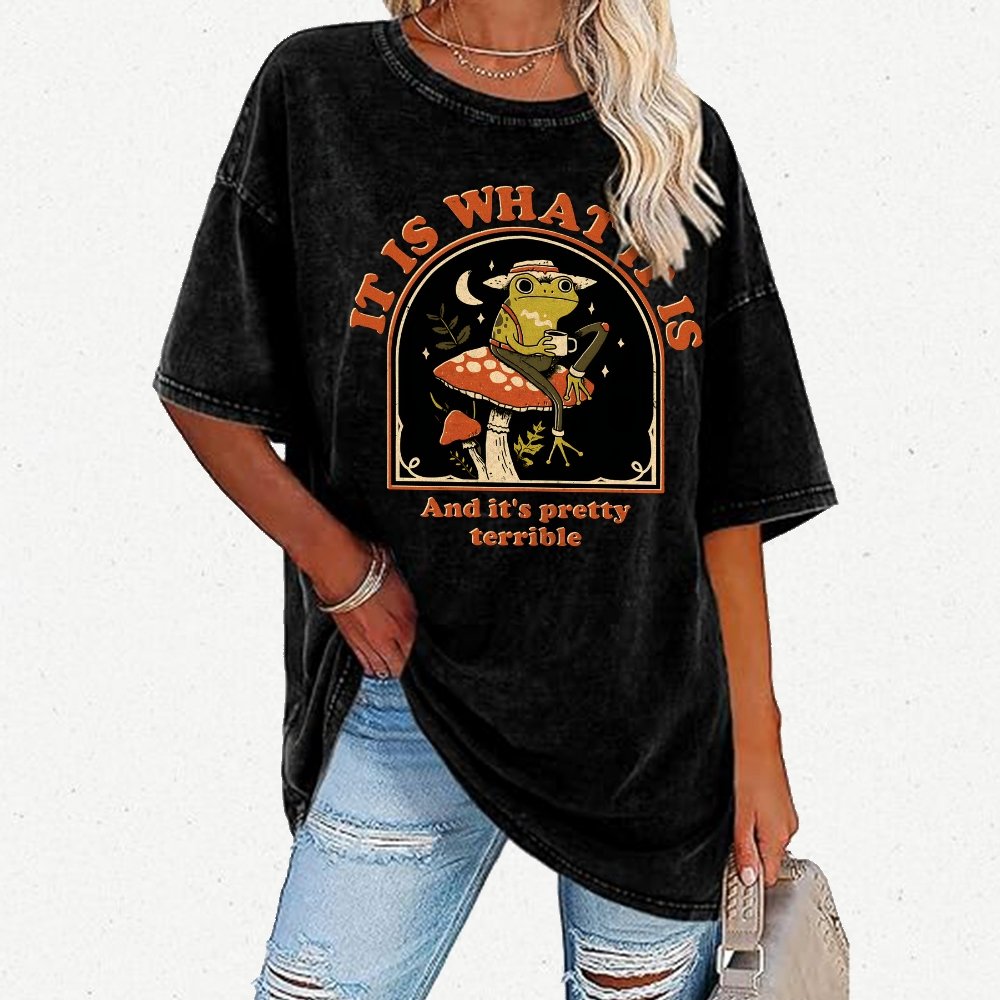 It Is What It Is And It's Pretty Terrible Vintage Distressed T-shirt