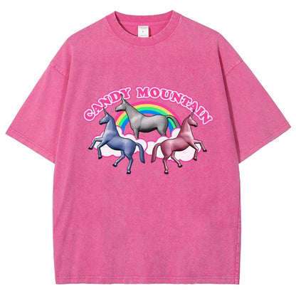Candy Mountain Vintage Distressed T-shirt