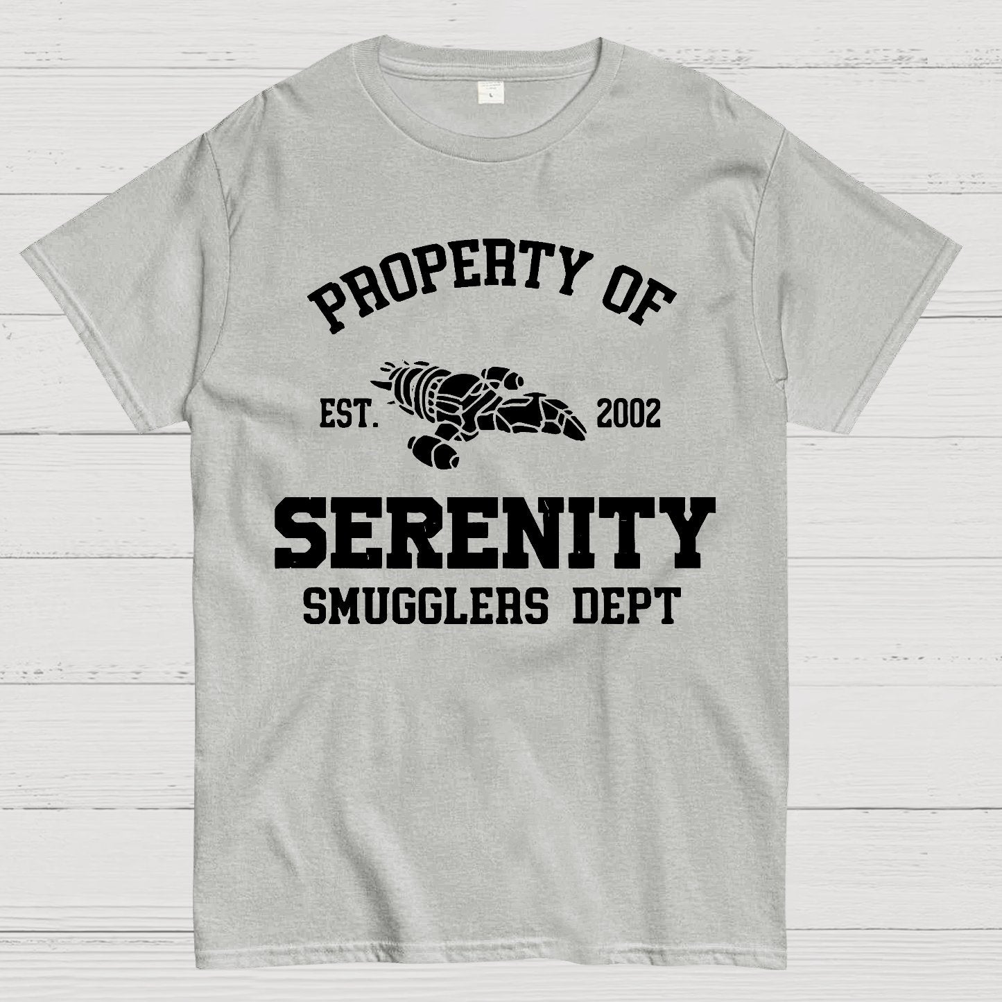 Property of Starlight Geek T-Shirt